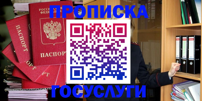 временная регистрация для всех в Димитровграде